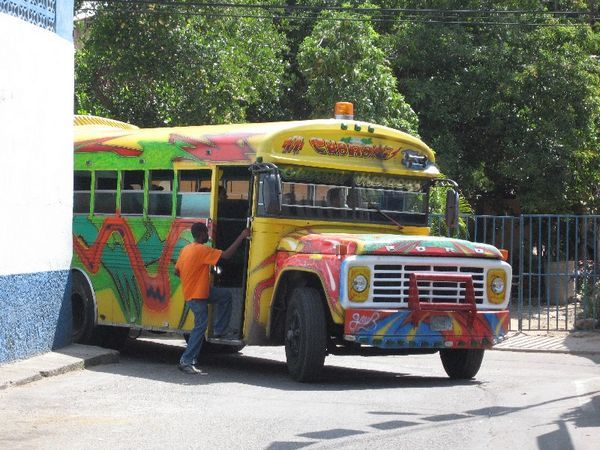 Funky Love Bus