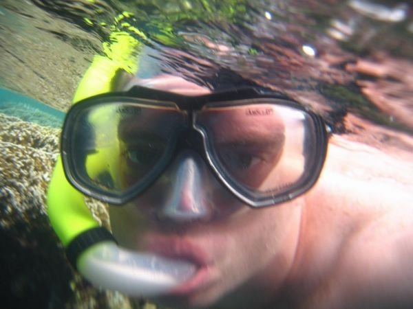 Underwater Ellison