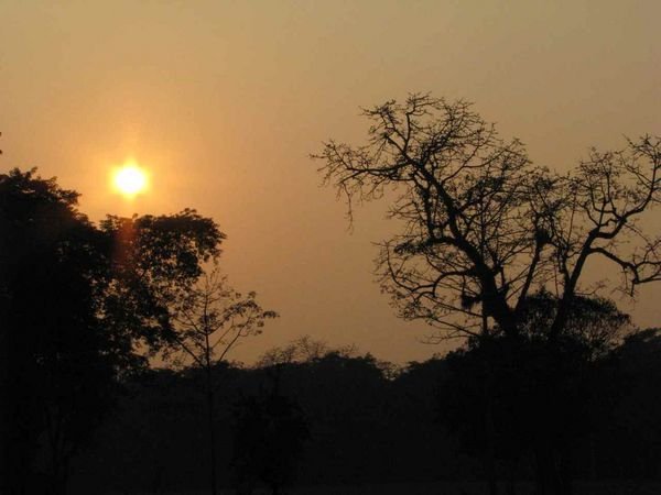 the sun sets over Chitwan National Park