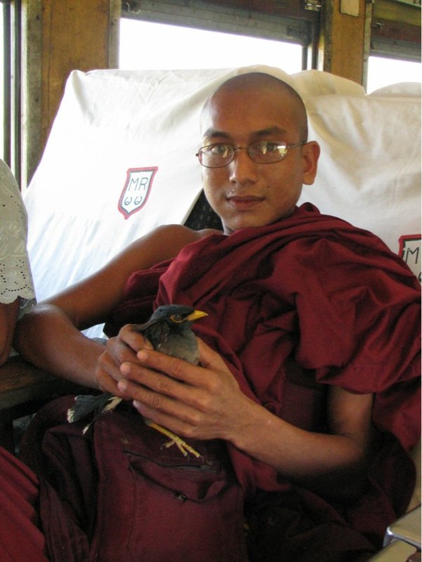 Monk chilling with his bird