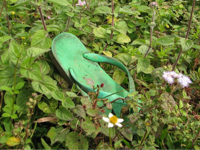 The Shoe of Misfortune 2
