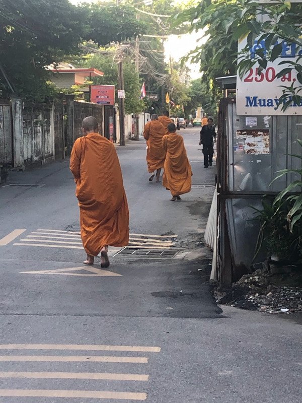 Monks on the way back to the Wat