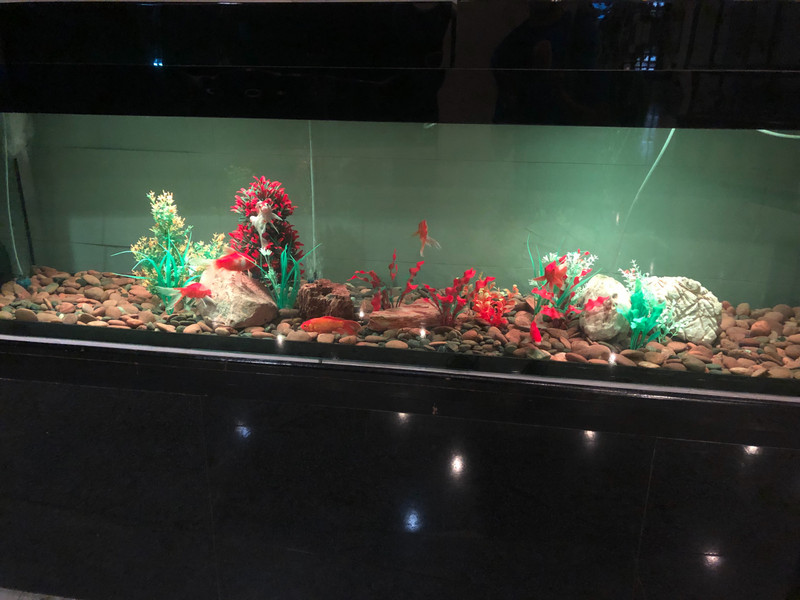 Hotel fish tank