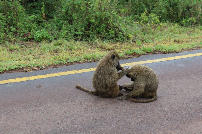 Grooming on the road