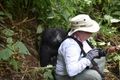 A gorilla hug
