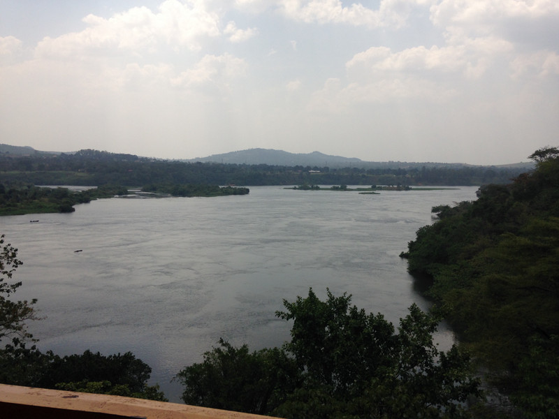 looking north on the Nile