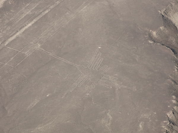 Nazca Lines - The Hummingbird (83m)