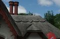 Pretty thatched roof in Killarney NP