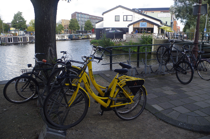 Our Trusty Yellow Bikes