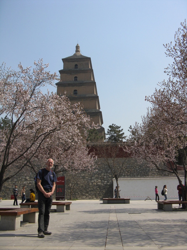 An elderly gentleman and a pagoda