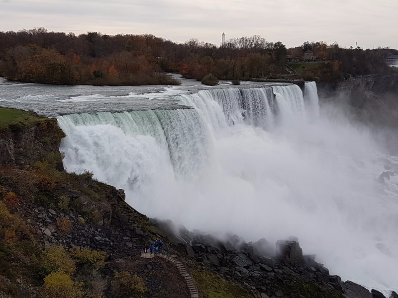 Falls from observation deck