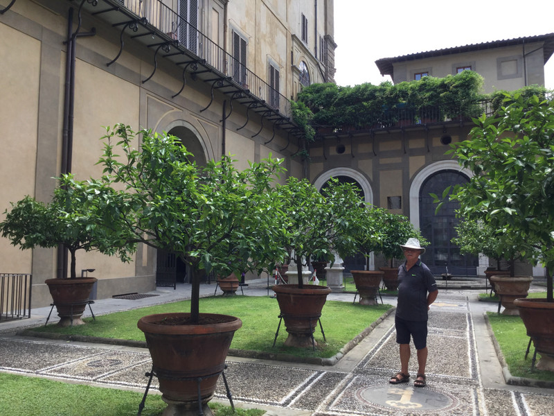 Orange trees in the courtyard