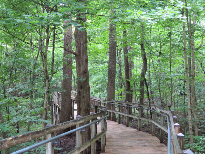 Alternative route to the building through the woods