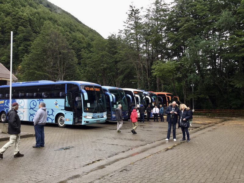 A convoy of modern buses.