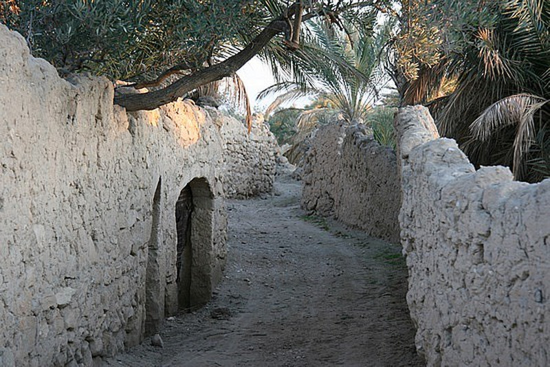 Palmyra street view