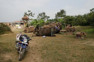 Elephants and Bikes do not normally mix well