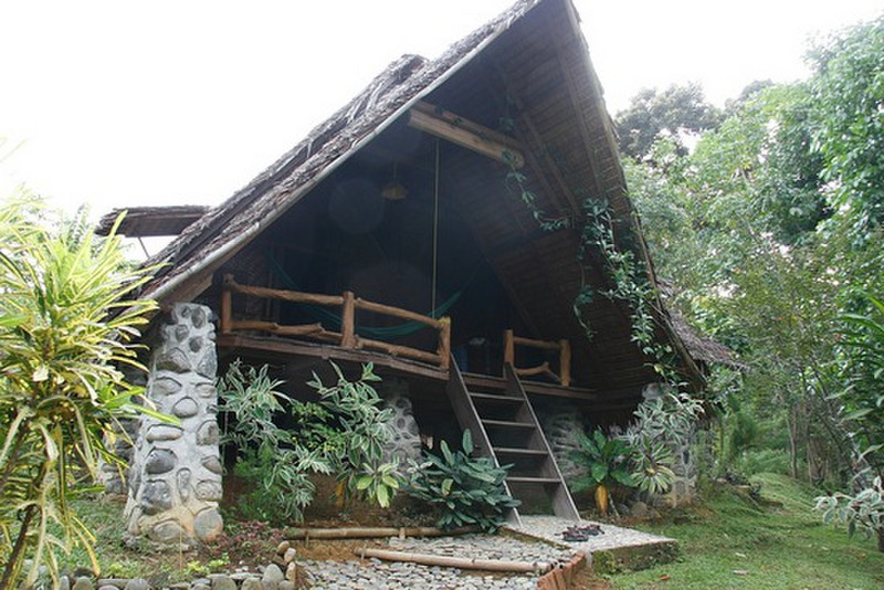 Our Jungle Hut