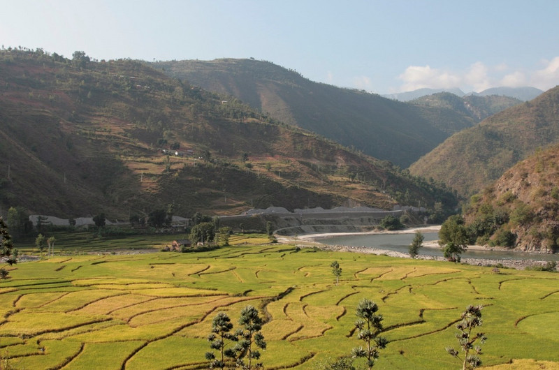 East Nepal rice paddies