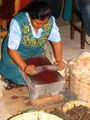 Grinding the Cochineal Beetles