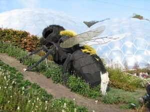 Giant Bee at Eden