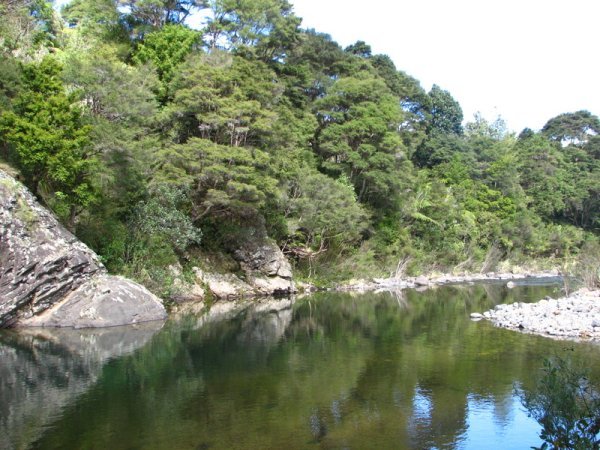 Delightful streams at Kauaeranga