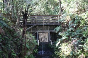Model Dam made out of the local timber - Kauri
