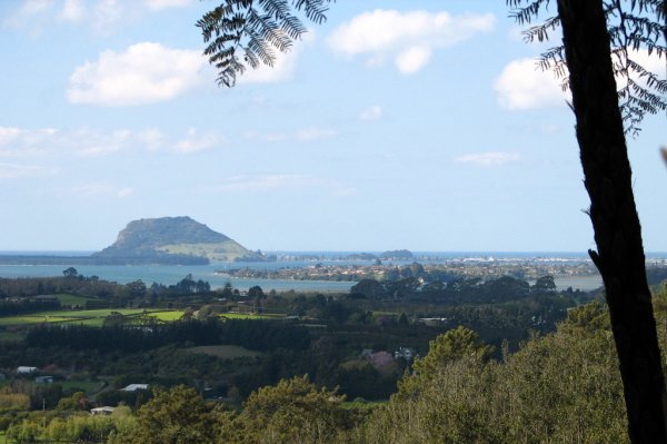 View of Mount Maunganui from the top of Quarry Park