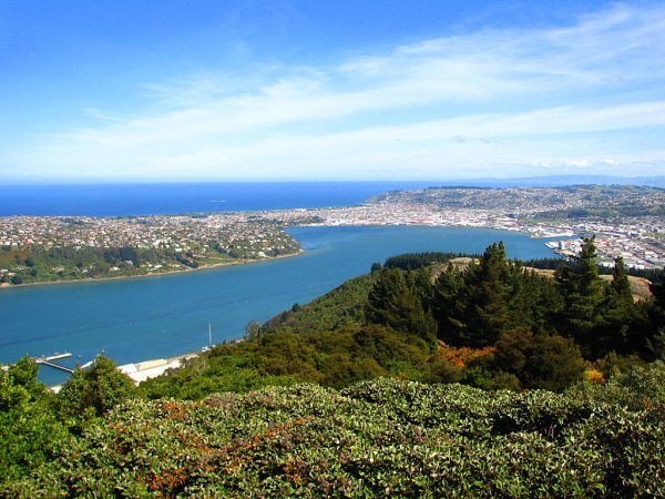 View over Dunedin