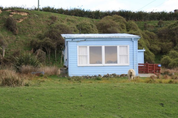 Typical NZ type beach house!