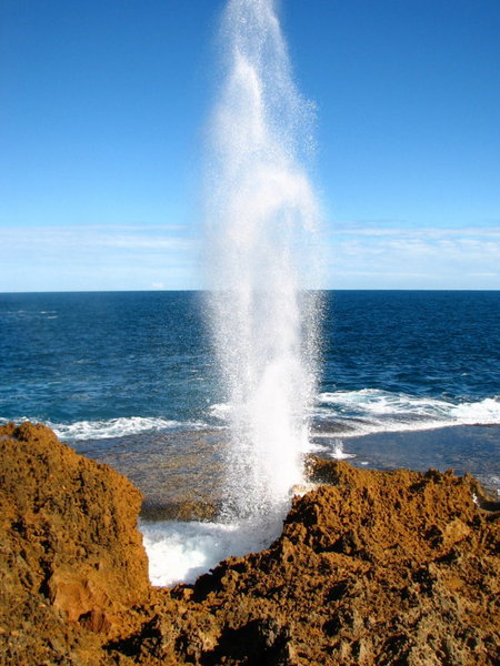 Blowholes