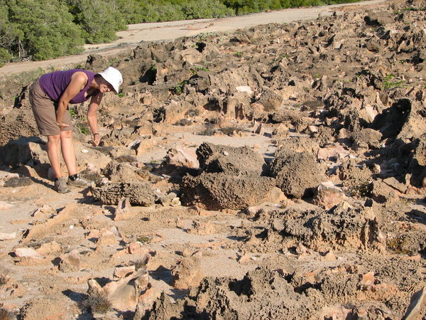 Judy in the petrified forest at Barred Creek