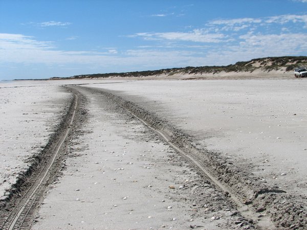 Beach that can be driven on