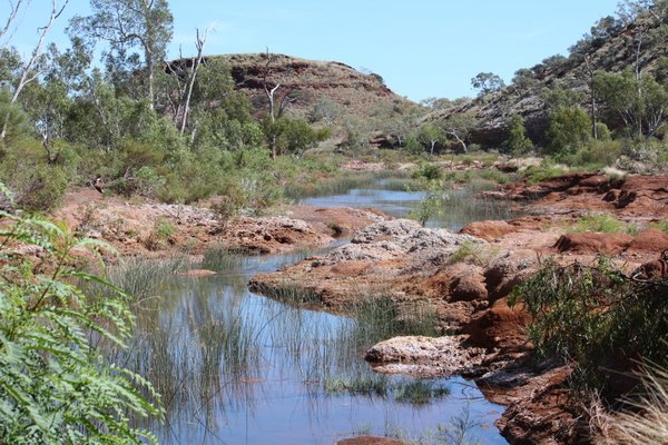 Pools in Fortescue River