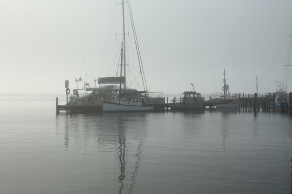 Sea fog in the morning at Port Albert