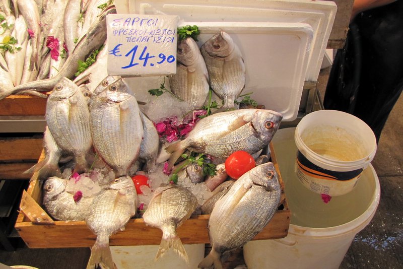 Fish for sale in the market