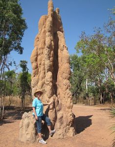 Large Cathedral Termite mount in Litchfirled Park
