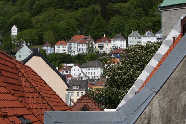 Views of Bergen houses