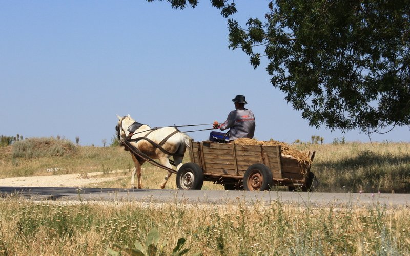Local transport caught on the road to Rousse.