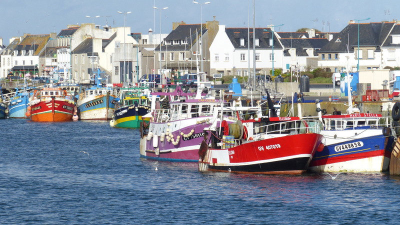 Colourful fishing fleet at Le Guilvinec