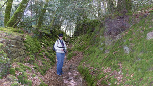 Moss covered ground on the walk to Sainte Marine