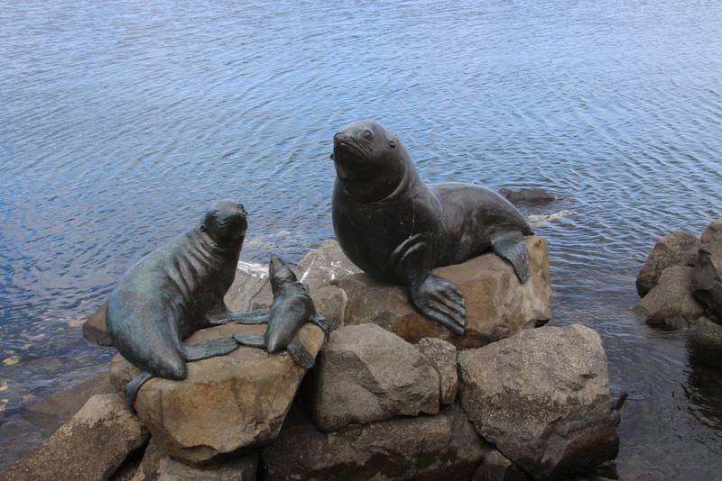 Bronze Seals