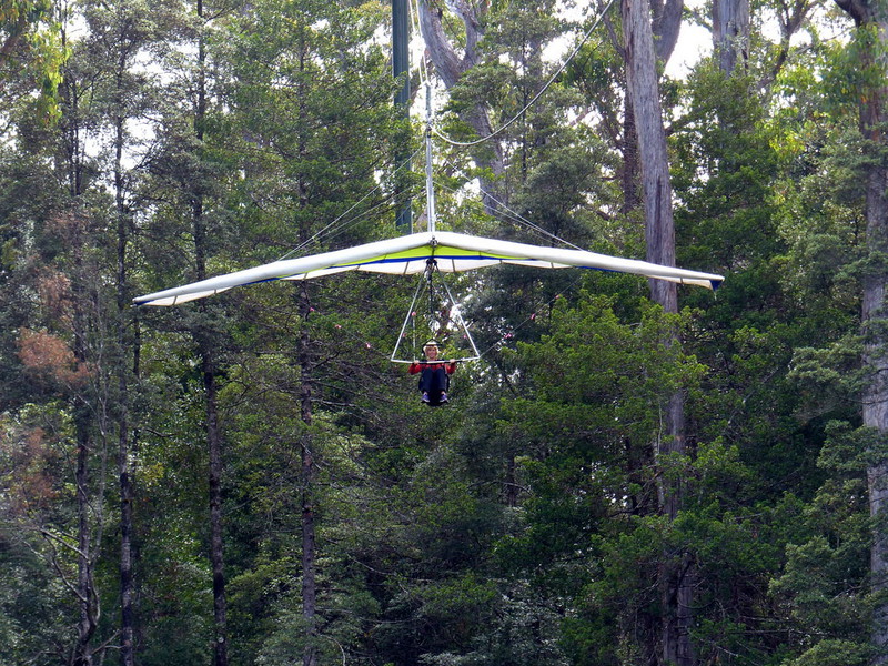 Eagle hang glider