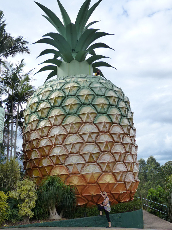 Big Pineapple