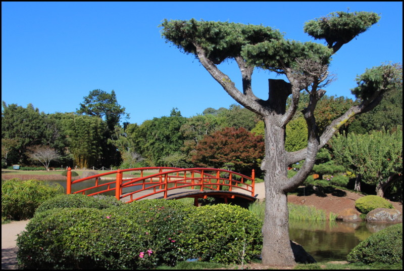 Japanese Garden, Toowoomba