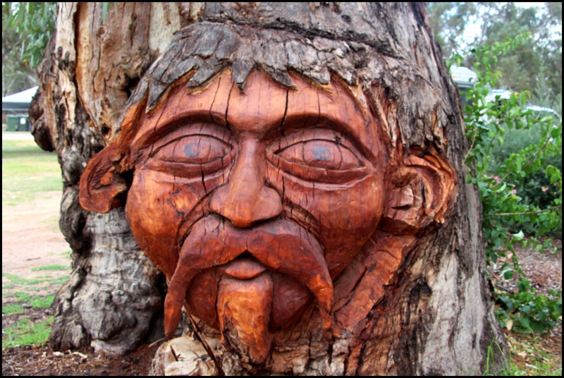 Woodcarving at the Buronga Caravan Park near Mildura.
