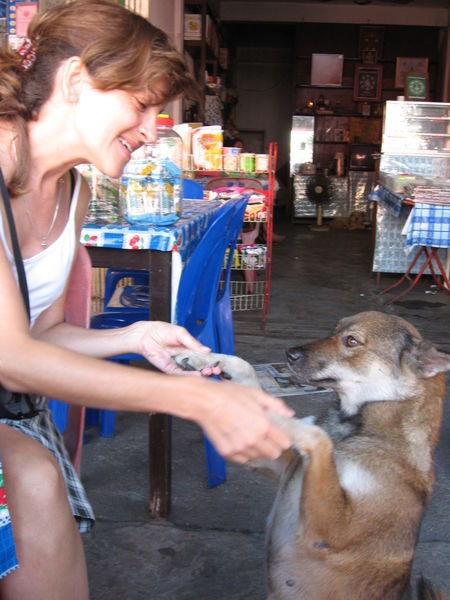 Ana y los perros tailandeses