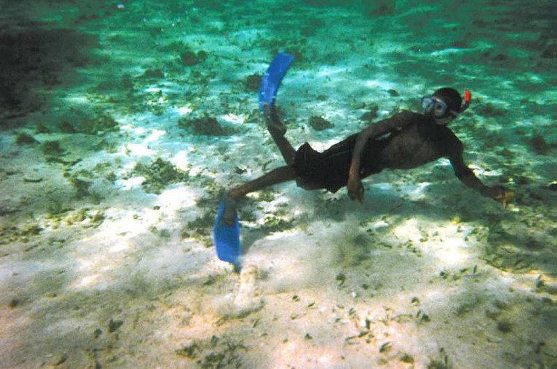 Diving for Conch