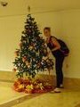 Mein erster Weihnachtsbaum im Intercontinental