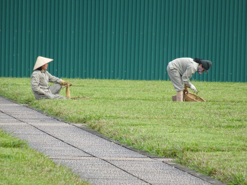 Rasenpflege in Hanoi