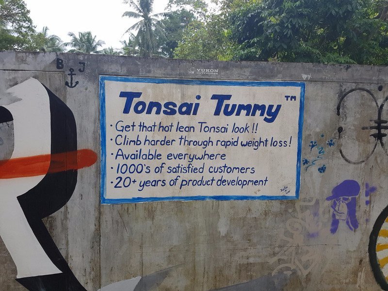Graffiti on tonsai